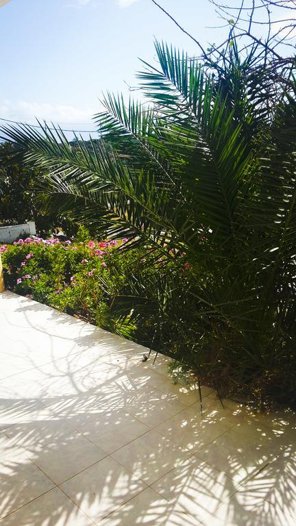 Apartment Panorama *